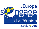logo l'Europe songage à la reunion